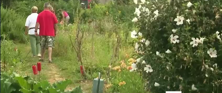Reportage France3 au jardin