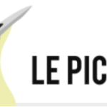 Logo Pic Vert